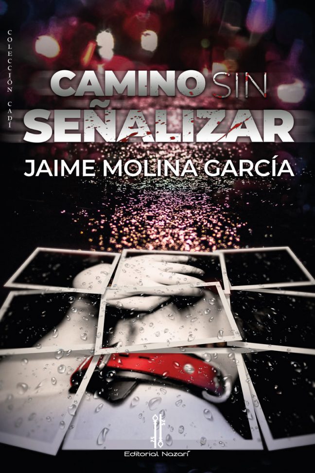 Camino sin señalizar - Jaime Molina García - Portada